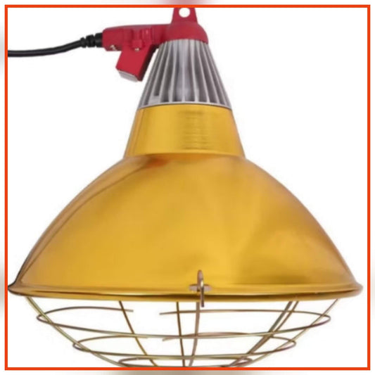 Favely Brooder Lamp with cover